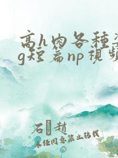 高h肉各种姿势g短篇np视频