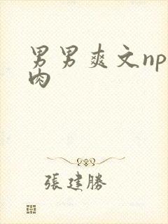 男男爽文np全肉