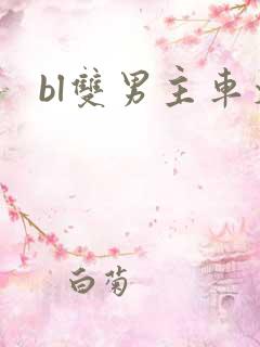 bl双男主车文