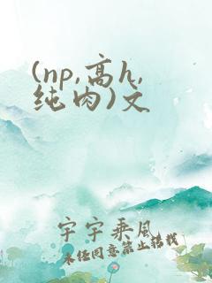 (np,高h,纯肉)文