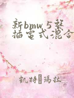 新bmw 5系插电式混合动力版