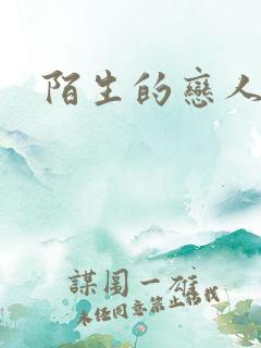 陌生的恋人小说