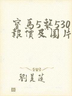 宝马5系530报价及图片