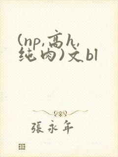 (np,高h,纯肉)文bl