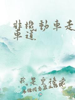 非机动车走机动车道