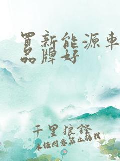 买新能源车哪个品牌好