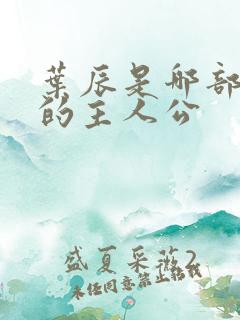 叶辰是哪部小说的主人公
