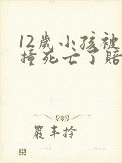 12岁小孩被车撞死亡了赔偿标准 12岁小孩被车撞死亡了赔偿标准