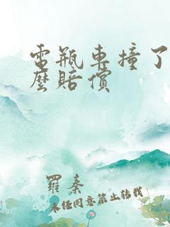 电瓶车撞了人怎么赔偿