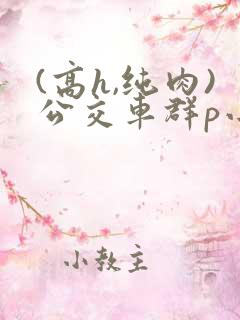 (高h,纯肉)公交车群p小说