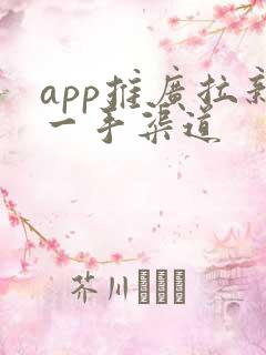 app推广拉新一手渠道