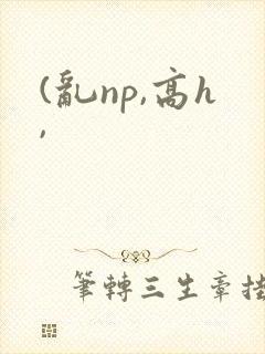 (乱np,高h,