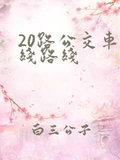 20路公交车路线路线