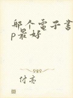 哪个电子书app最好