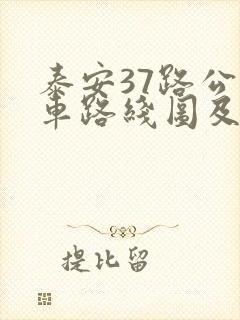 泰安37路公交车路线图及时间表