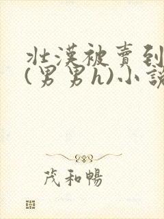 壮汉被卖到山村(男男h)小说