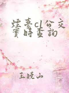 烟台c1公交车实时查询