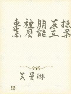 车被朋友抵押了怎么能立案
