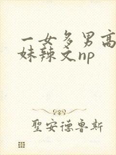 一女多男高h兄妹辣文np