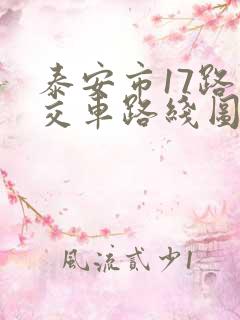 泰安市17路公交车路线图