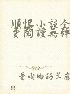 顺恨小说全文免费阅读无弹窗