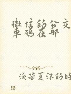 微信的公交车乘车码在哪