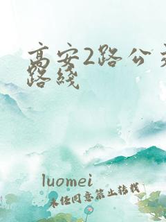 高安2路公交车路线
