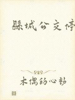 县城公交停运