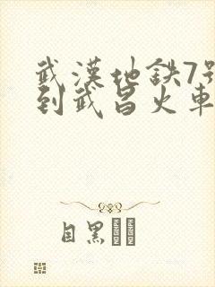 武汉地铁7号线到武昌火车站吗