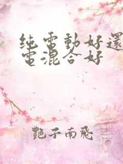 纯电动好还是插电混合好