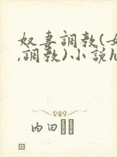 奴妻调教(女m,调教)小说hhh