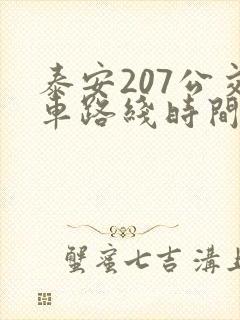 泰安207公交车路线时间表