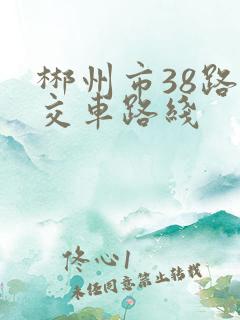 郴州市38路公交车路线 郴州市38路公交车路线