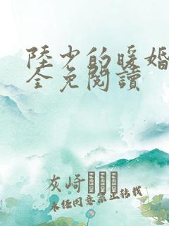 陆少的暖婚新妻全免阅读