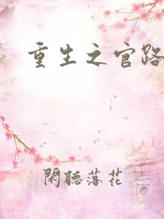 重生之官路情长
