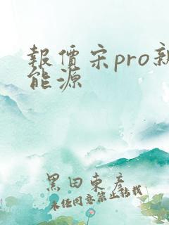 报价宋pro新能源