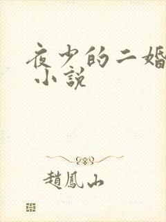 夜少的二婚新妻 小说