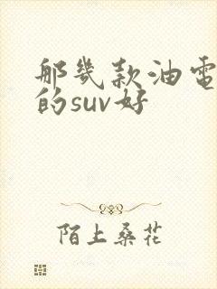 那几款油电混合的suv好 那几款油电混合的suv好