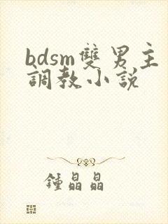 bdsm双男主调教小说