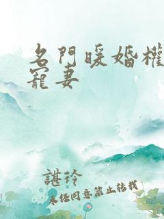 名门暖婚权爷盛宠妻