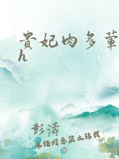 贵妃肉多荤文高h