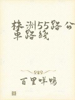 株洲55路公交车路线 株洲55路公交车路线