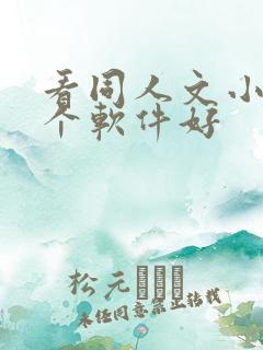 看同人文小说哪个软件好