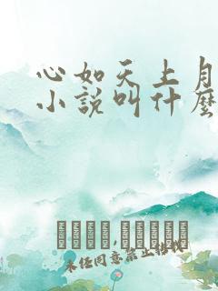 心如天上月原著小说叫什么