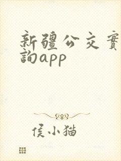 新疆公交实时查询app