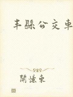 丰县公交车路线