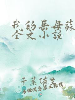 我的岳母苏霈真全文小说
