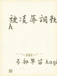被凌辱调教小说h