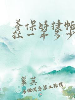 养保时捷帕拉梅拉一年多少钱