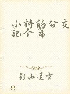 小诗的公交车日记全篇